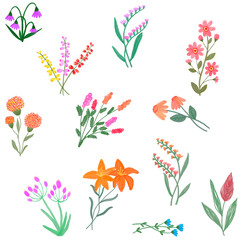 set of flowers