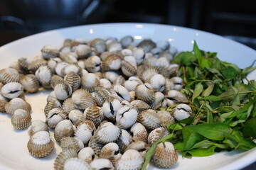 boiled shells White plate with cooked vongole clams with lemon and herbs, on a white table on a board close-up.