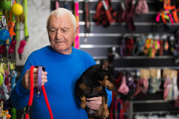 Elderly man with his miniature pinscher in hands standing in salesroom and choosing new collar and...