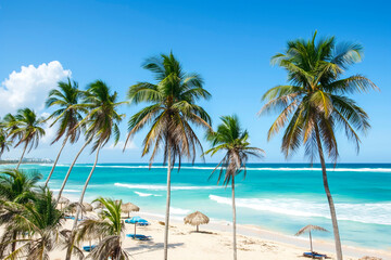 beach resort scene with palm trees, turquoise water, and people enjoying various activities