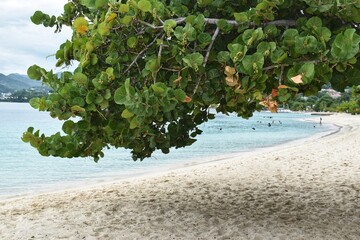 Grand Anse Beach on the Caribbean island of Grenada.