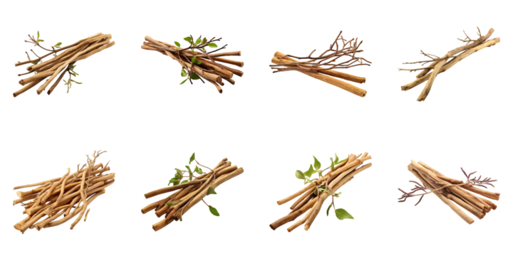 Collection of Licorice Root isolated on transparent png background. Generative ai