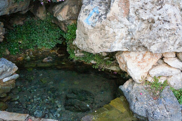 岩陰にたまる自然にできた小さな池