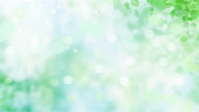Leaves fall in the sunshine. green bokeh background.（100）