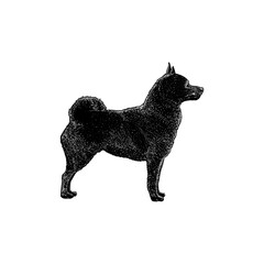 Schipperke hand drawing vector isolated on background.