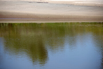 Nature reflection in wetlands water pool 