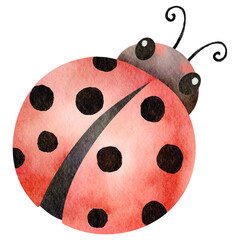 Ladybug watercolor clipart-3