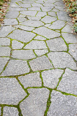 Stone block walk path in the park