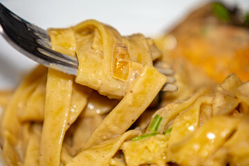 Fettuccine noodles in white sauce with mushrooms and chicken