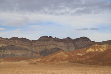 landscape in the desert