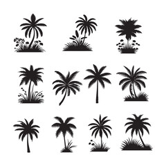 Fototapeta premium set of palm trees silhouettes on white 