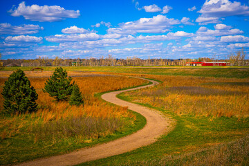 Tranquil golden meadow with curved dirt road at Sertoma Park nature conservation area in Sioux Falls, South Dakota, on a sunny spring afternoon