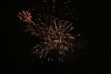 fireworks in the night sky