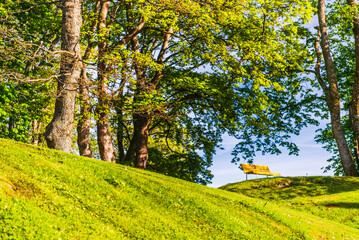 coloured leaves inside a Alesund public park during springtime, Norway