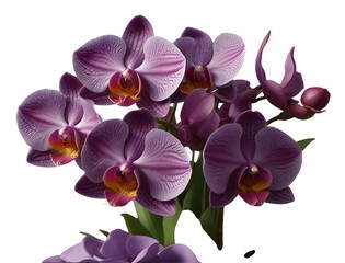 Violet orchid bouquet, Ai generated