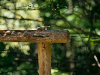 Wooden Post and Rail in a Lush Forest