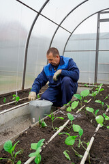 A man works in a greenhouse in early spring, clearing the ground of weeds
