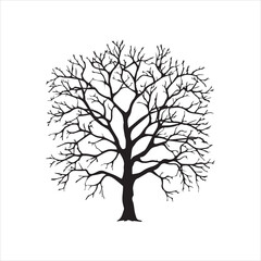 Tree and forest silhouettes silhouette tree line drawing set coconut tree silhouette illustrations