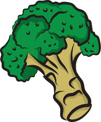 Hand drawn colored broccoli illustration, colored broccoli vector