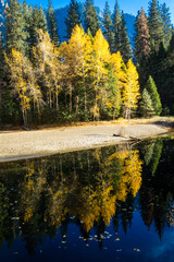 Yosemite National Park
