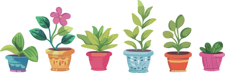 Colorful Indoor Plant Collection