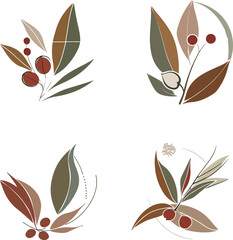 Botanical Illustration Set
