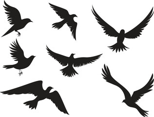 flying bird silhouette on transparent background, vector design