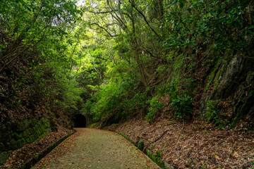 山奥にひっそりたたずむ古いトンネル