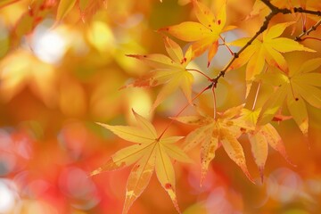 Vibrant autumn leaves in warm tones