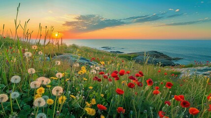 Fototapeta premium Sunset Reverie: Dandelions, Clovers, and Poppies on the New England Coast