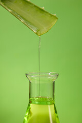 Transparent fluid drip from an aloe vera branch into an erlenmeyer flask on green background. Front...
