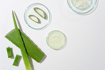 White counter displaying petri dishes containing aloe vera pieces, decorated by some branches of...