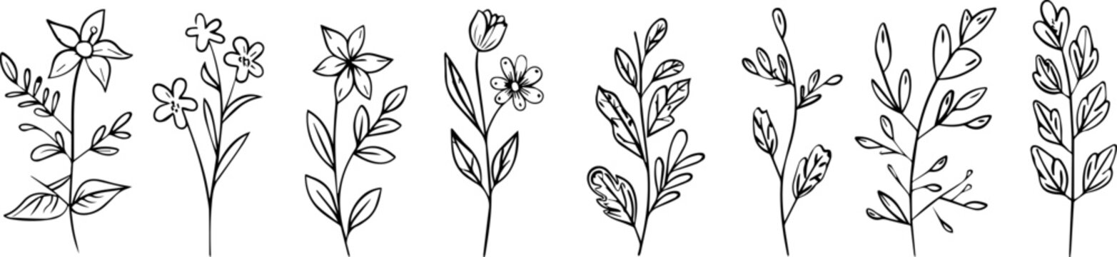 set of floral ornament vector elements in the style of a simple vector style