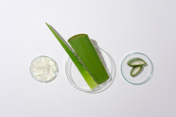 Flat lay of laboratory glassware with fresh aloe vera on white background. Photo for advertise organic cosmetics with top view and copy space.
