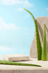 The vertical photo was taken from front view with some aloe vera leaning on a rock, an empty podium...