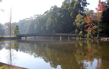 Fototapeta premium Calm pond of water with a bridge, trees and a misty backdrop at Emerald Lake Park in Victoria, Australia