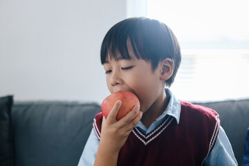 Asian kid boy eating apple fruit. Healthy school breakfast for child.