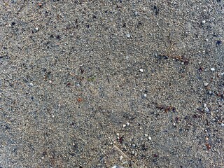 closeup view of wet pebble sand as a walking path, sandy beach shore or backyard fine gravel yard ground cover background