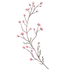 Pink wild flower bouquet watercolor illustration.