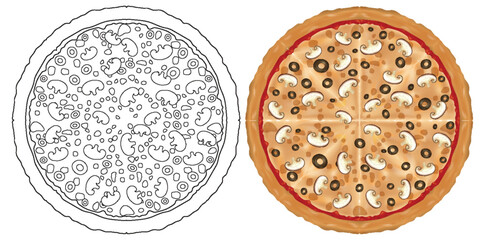 Vector illustration of uncooked and cooked pizza.