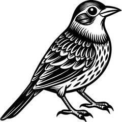 Cute bird vector art illustration.
