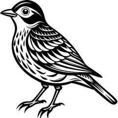 Cute bird vector art illustration.
