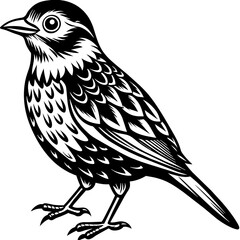 Cute bird vector art illustration.
