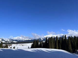 snow mountains in Xinjiang 