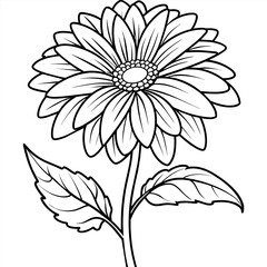 Gerbera flower plant outline illustration coloring book page design, Gerbera flower plant black and white line art drawing coloring book pages for children and adults