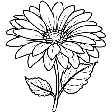 recommend clip art: Gerbera flower plant outline illustration coloring book page design, Gerbera flower plant black and white line art drawing coloring book pages for children and adults