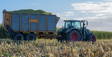 Traktor und Maishäcksler während der Maisernte 