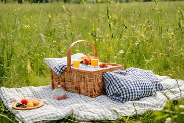 Picnic duvet with empty bascket on the meadow in nature. Panoramic view. Concept of leisure and family weekend. Picnic in the garden