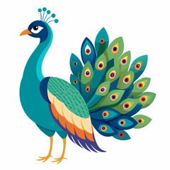 illustration of a peacock