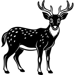 silhouette of a deer